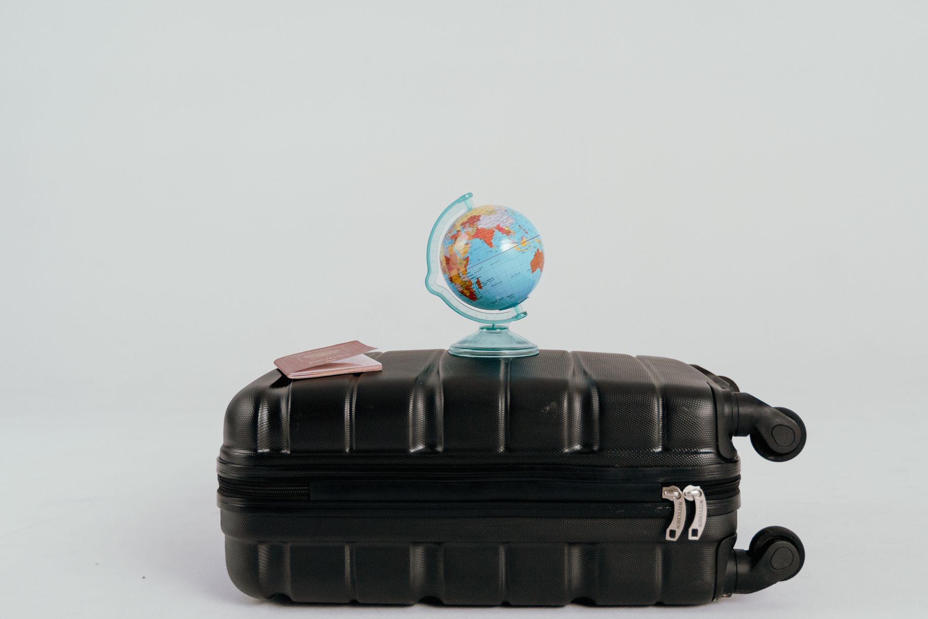 Voyager avec son animal en van : le guide pratique