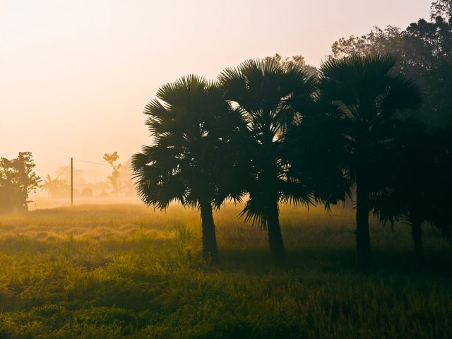 Les tendances des séjours en pleine nature en 2024