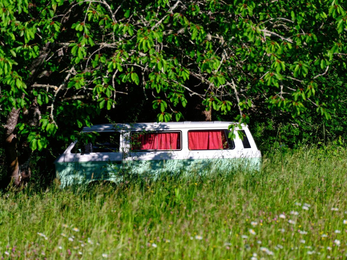 Van ou camping-car : quel choix pour vos voyages ?