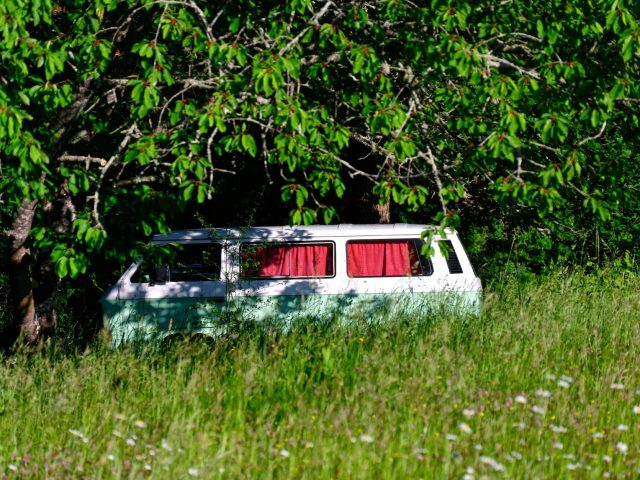 Van ou camping-car : quel choix pour vos voyages ?