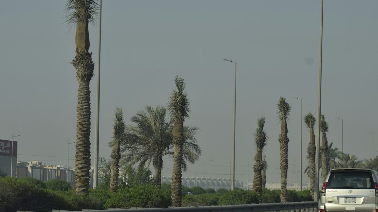 Bon plan voyage Floride : organiser son road trip en van