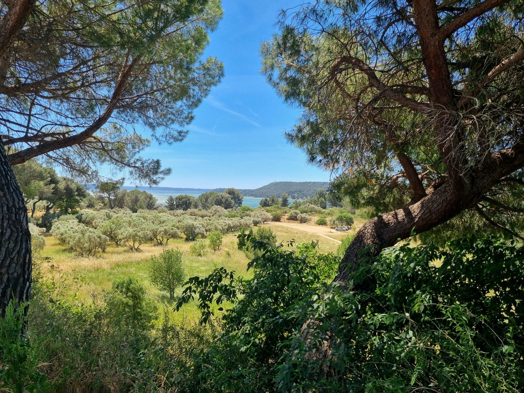Cerdon : l'aire de camping-car qui séduit déjà 200 aventuriers
